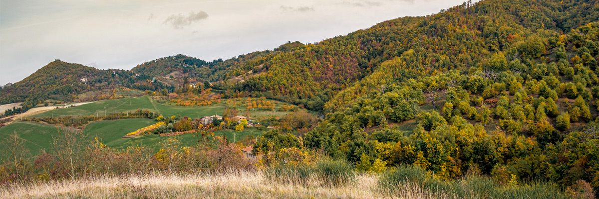 Monte San Pietro